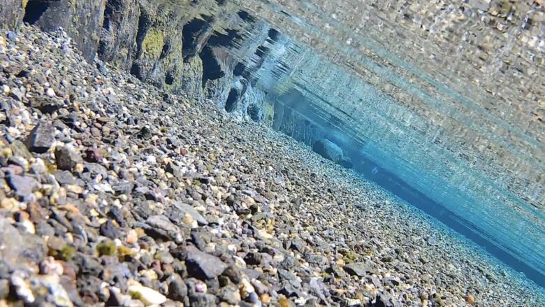 水の中の映像